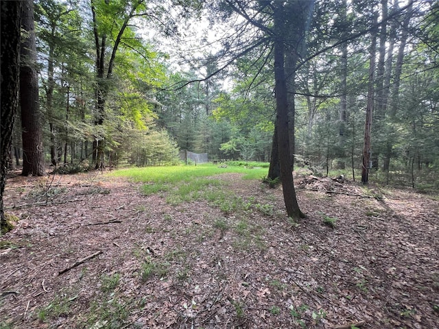 Barker Rd, Eldred, NY 12732 - photo 3