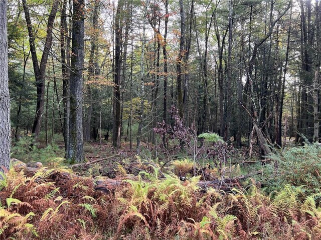 Barker Rd, Eldred, NY 12732 - photo 4