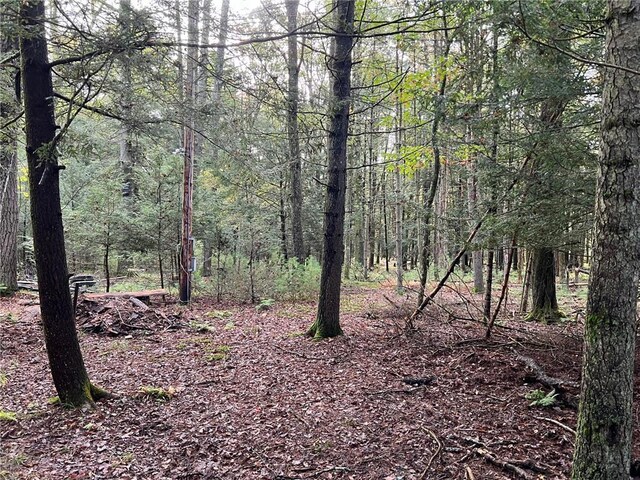 Barker Rd, Eldred, NY 12732 - photo 5
