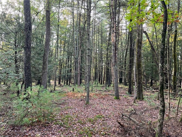 Barker Rd, Eldred, NY 12732 - photo 6