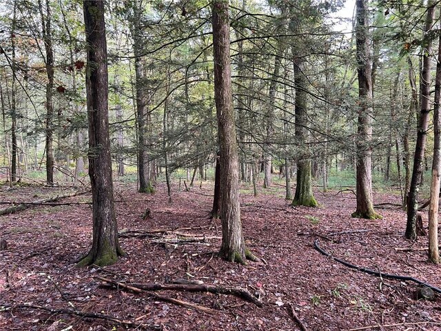 Barker Rd, Eldred, NY 12732 - photo 7