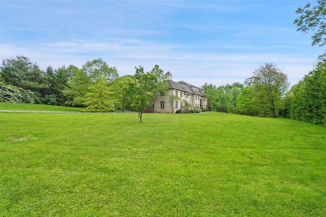 3747 Purchase St, Purchase, NY 10577 - view of grassy yard