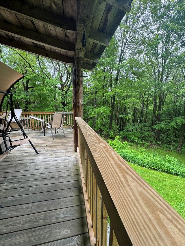 185 Wedemeyer Rd, Downsville, NY 13755 - photo 17