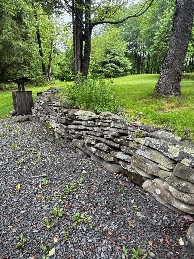 185 Wedemeyer Rd, Downsville, NY 13755 - photo 24