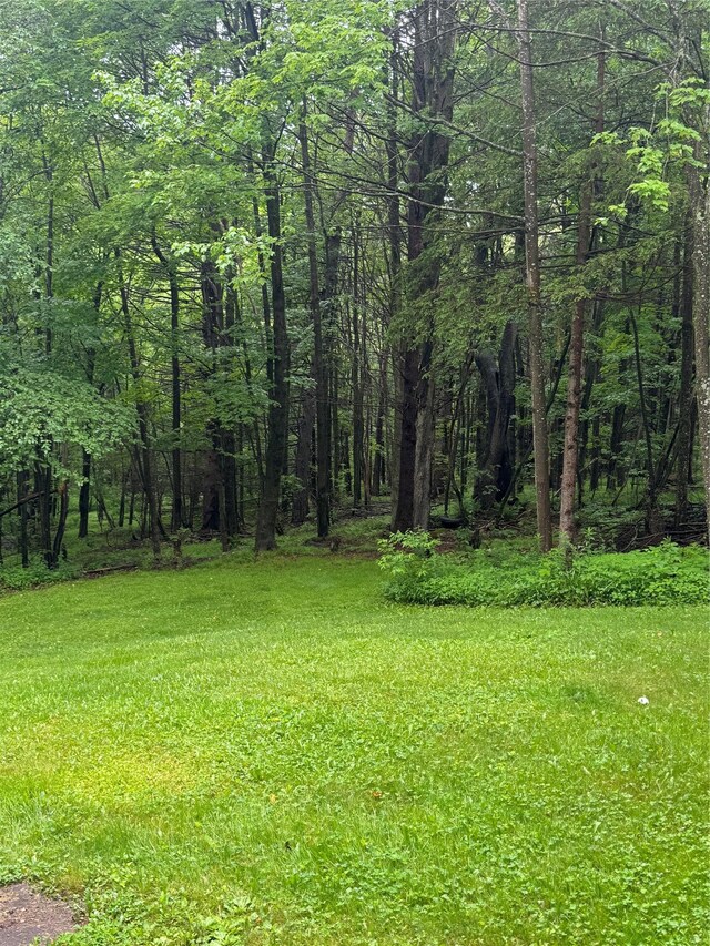 185 Wedemeyer Rd, Downsville, NY 13755 - photo 31