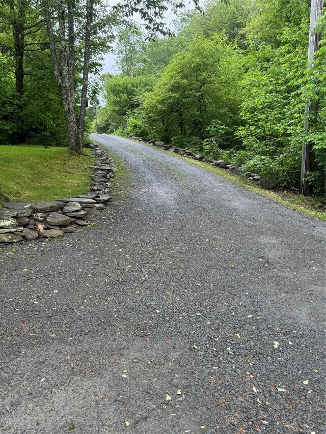 185 Wedemeyer Rd, Downsville, NY 13755 - photo 35