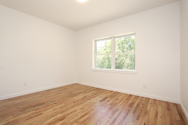 334NOhioville Rd, New Paltz, NY 12561 - photo 17