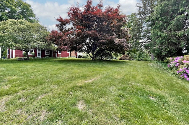 28 Gobblers Knob Rd, Pawling, NY 12564 - view of grassy yard