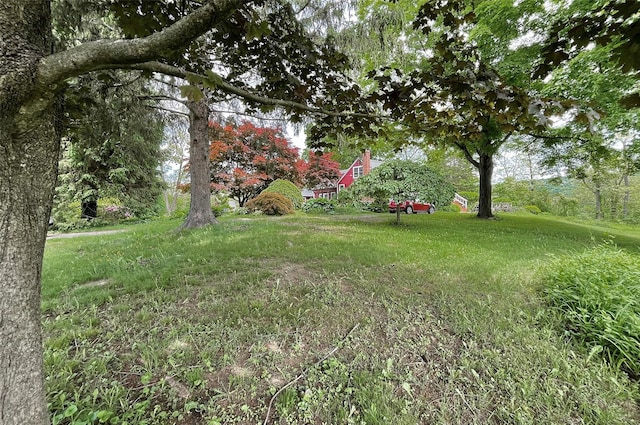 28 Gobblers Knob Rd, Pawling, NY 12564 - view of yard