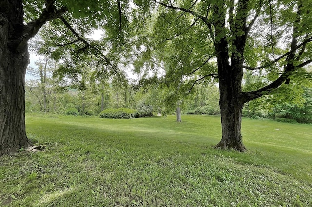28 Gobblers Knob Rd, Pawling, NY 12564 - view of grassy yard
