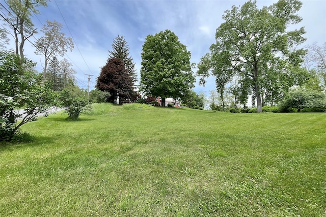 28 Gobblers Knob Rd, Pawling, NY 12564 - view of green lawn