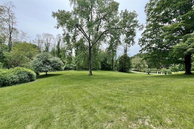 28 Gobblers Knob Rd, Pawling, NY 12564 - view of green lawn