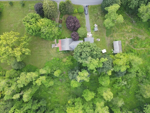 28 Gobblers Knob Rd, Pawling, NY 12564 - photo 45