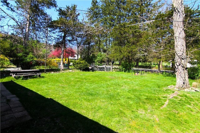 191 Sylvan Lake Rd Unit 1, Hopewell Junction, NY 12533 - view of green lawn