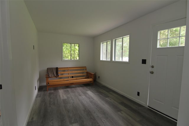 191 Sylvan Lake Rd Unit 1, Hopewell Junction, NY 12533 - entryway featuring healthy amount of natural light and wood finished floors