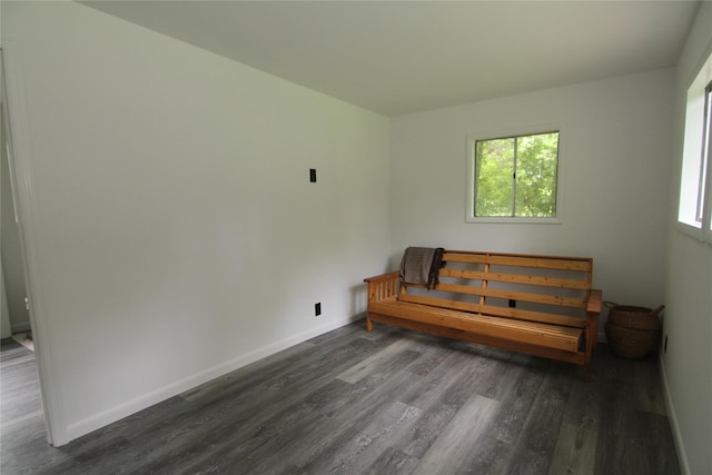 191 Sylvan Lake Rd Unit 1, Hopewell Junction, NY 12533 - empty room with dark wood-type flooring