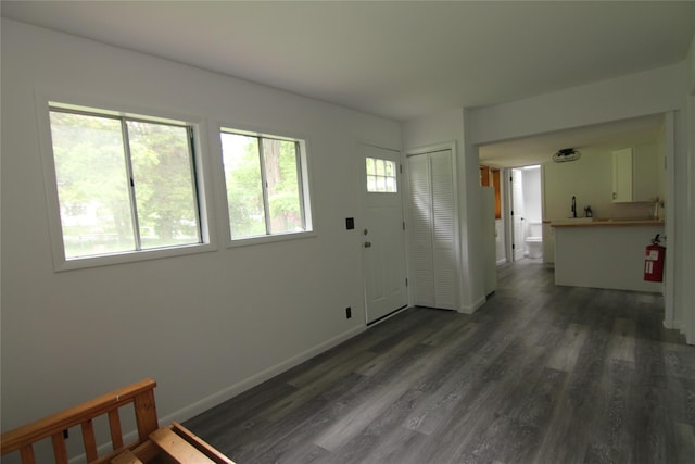 191 Sylvan Lake Rd Unit 1, Hopewell Junction, NY 12533 - foyer featuring dark wood finished floors