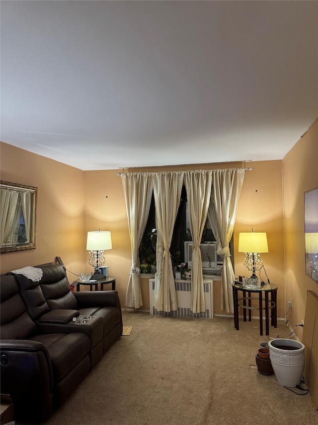 87-56 Francis Lewis Blvd Unit B31, Queens Village, NY 11427 - living area featuring radiator heating unit and carpet flooring