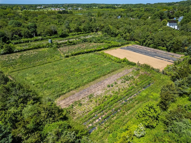 2706 Sound Ave, Calverton, NY 11933 - view of rural area with large plots for crops