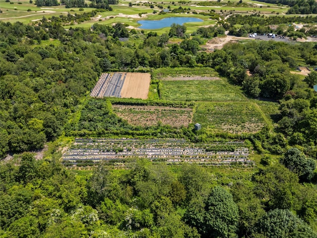 2706 Sound Ave, Calverton, NY 11933 - drone / aerial view of a large body of water