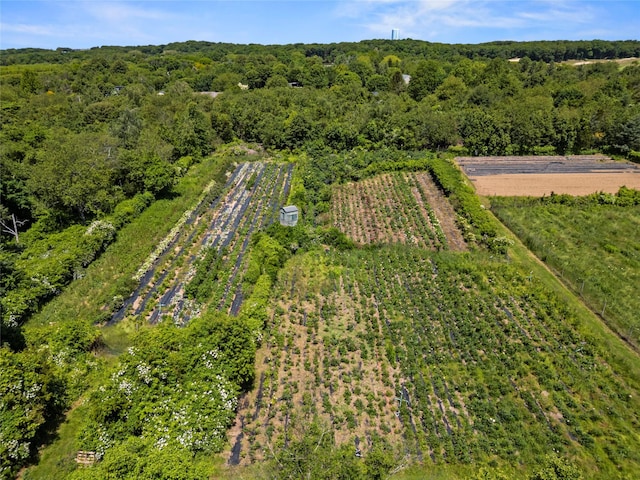 2706 Sound Ave, Calverton, NY 11933 - aerial overview of property's location