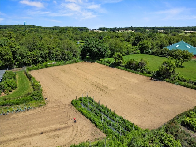 2706 Sound Ave, Calverton, NY 11933 - aerial view of sparsely populated area