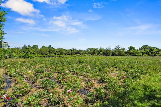 2706 Sound Ave, Calverton, NY 11933 - view of local wilderness with rural landscape