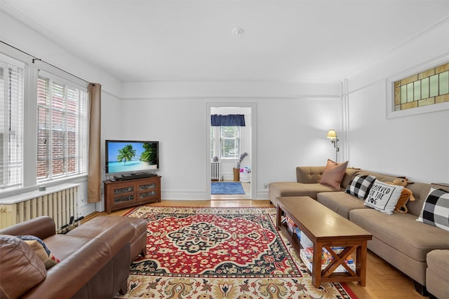 131 E 238th St, Bronx, NY 10470 - living area featuring radiator heating unit