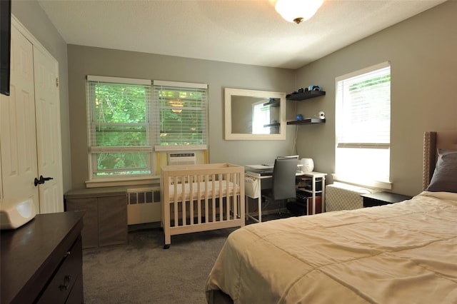 129-1 S Highland Ave Unit B6, Ossining, NY 10562 - bedroom with dark carpet, cooling unit, and radiator heating unit