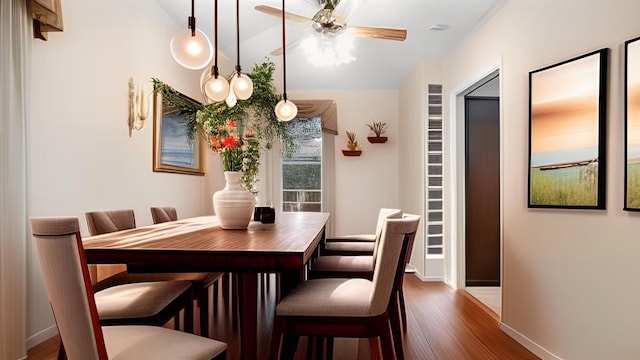 868 Morris Park Ave, Bronx, NY 10462 - dining space with ceiling fan and wood finished floors