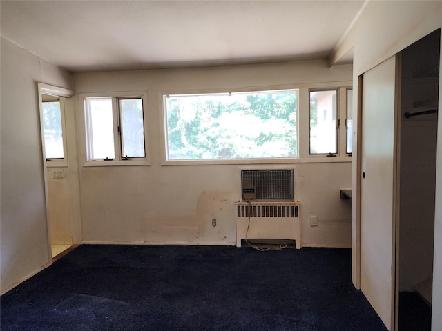 2 High Pne, Glen Cove, NY 11542 - empty room featuring radiator and dark colored carpet