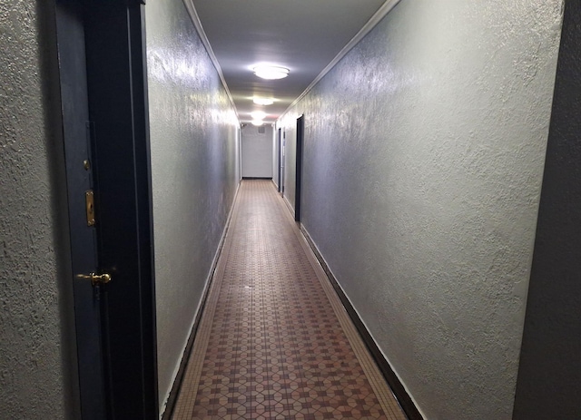2866 Marion Ave Unit 4C, Bronx, NY 10458 - hall with a textured wall and ornamental molding