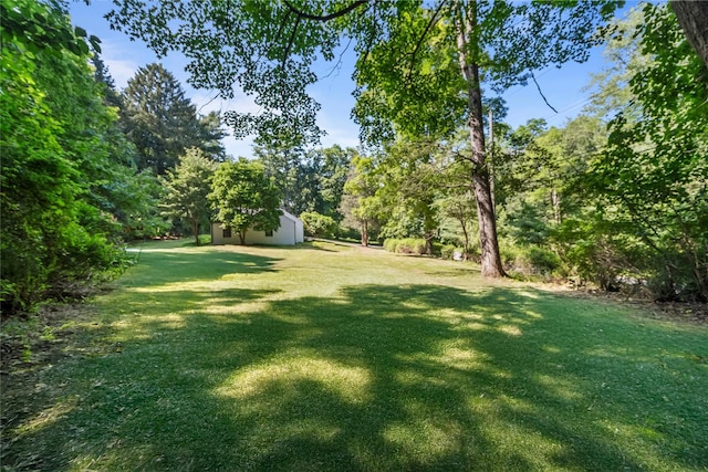10 Barnes Ln, Chappaqua, NY 10514 - photo 4