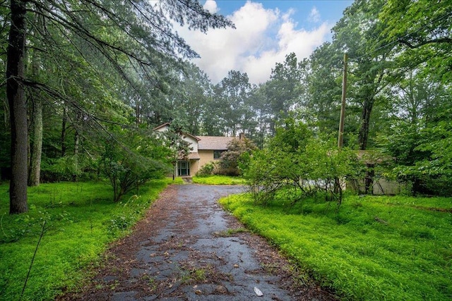 50 Hunczak Blvd, Lumberland, NY 12737 - photo 4