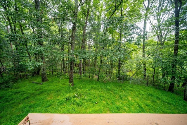 50 Hunczak Blvd, Lumberland, NY 12737 - photo 34