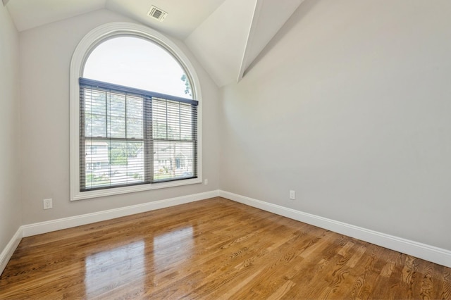 413 Robyn Pl, East Meadow, NY 11554 - spare room featuring plenty of natural light, vaulted ceiling, and light wood-type flooring