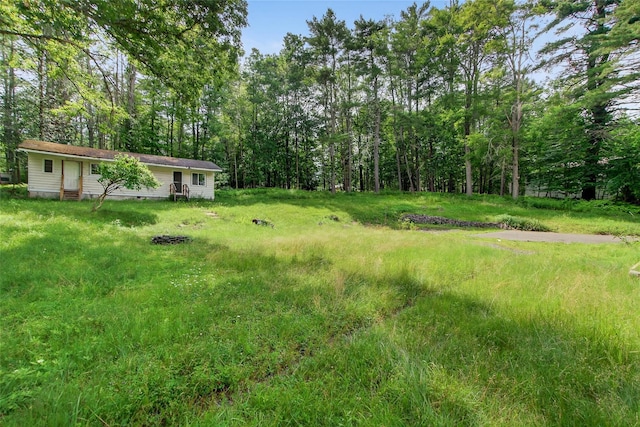 52 Luxton Lake Rd, Narrowsburg, NY 12764 - photo 37