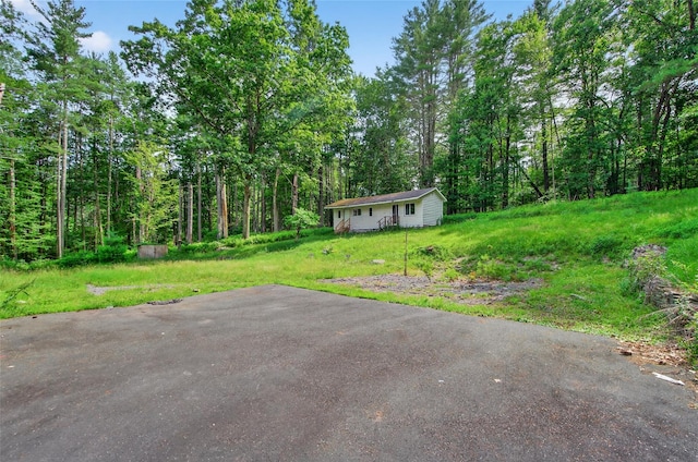 52 Luxton Lake Rd, Narrowsburg, NY 12764 - photo 38