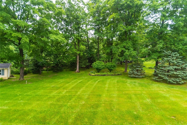 25 Briarwood Dr, Wappingers Falls, NY 12590 - view of green lawn