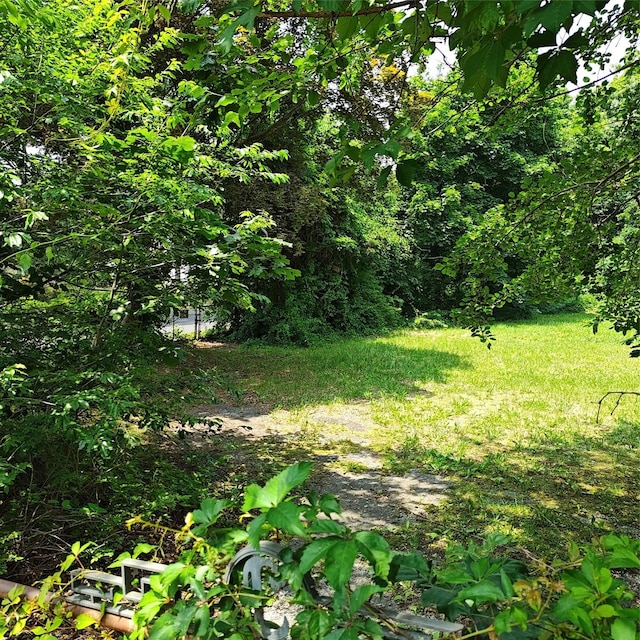 105 Gray Ave, Medford, NY 11763 - photo 12