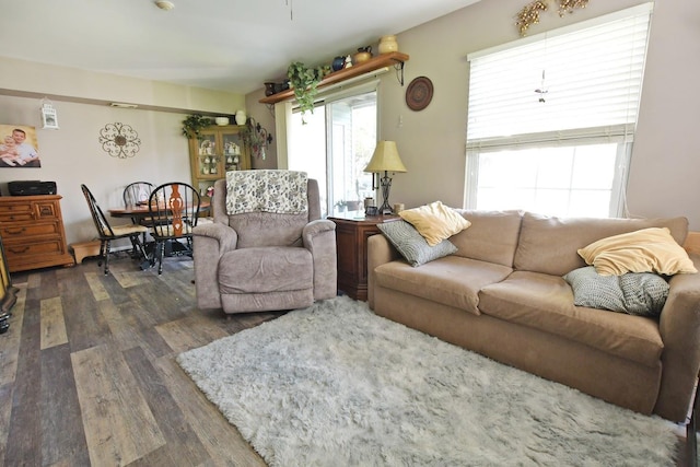 310 Fairview Cir, Middle Island, NY 11953 - living room with dark wood-style floors