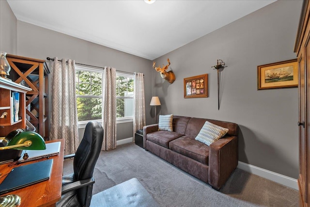105 Captain S Way, Copiague, NY 11726 - carpeted office space with baseboards