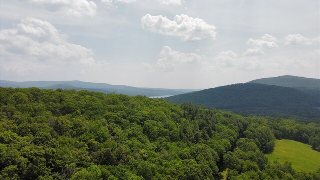 442 Main St, Grahamsville, NY 12740 - view of mountain background featuring a forest