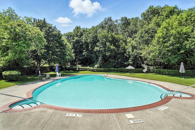 1 Avon Cir Unit D, Rye Brook, NY 10573 - community pool with a yard and view of wooded area
