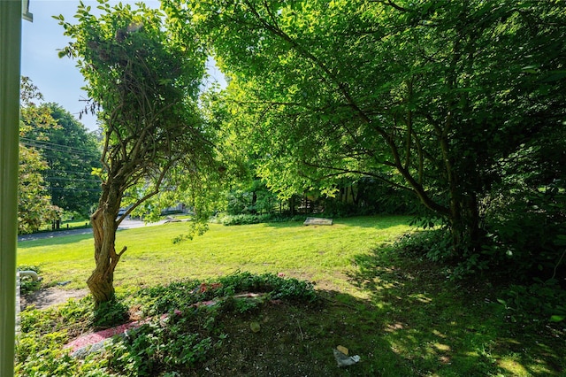 414 Bear Ridge Rd, Pleasantville, NY 10570 - view of grassy yard