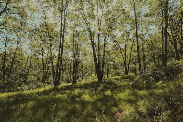 00 Benton Holw, Liberty, NY 12754 - photo 1