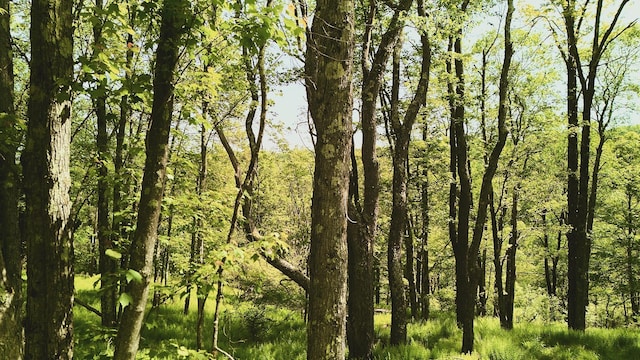 00 Benton Holw, Liberty, NY 12754 - photo 2