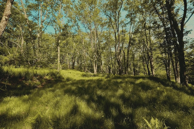00 Benton Holw, Liberty, NY 12754 - photo 4