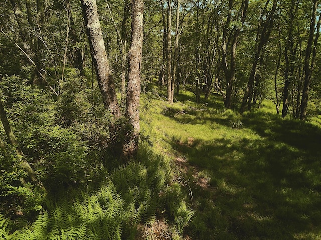00 Benton Holw, Liberty, NY 12754 - photo 5