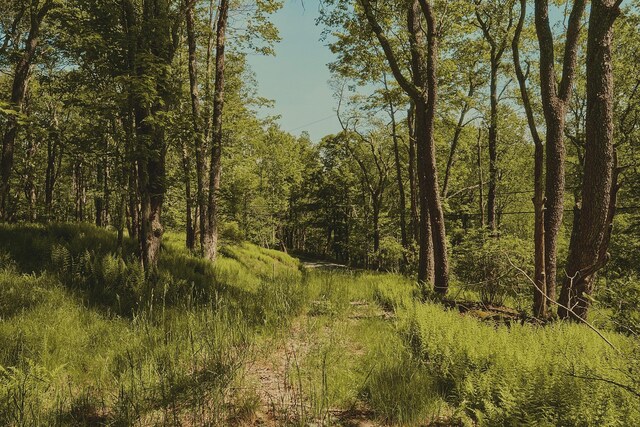 00 Benton Holw, Liberty, NY 12754 - photo 6